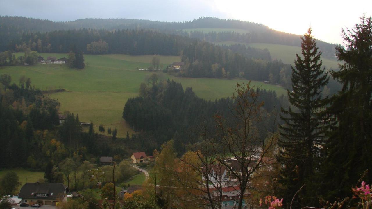 Ferienwohnung Haus Koenigshofer Sankt Kathrein am Hauenstein Exterior foto